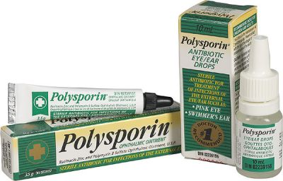 Can You Use Polysporin On Dogs Eyes Can You Use Polysporin On Dogs Eyes